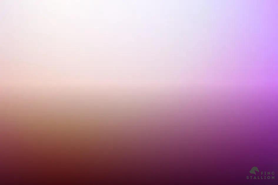 Partner with Brands for Sponsorships