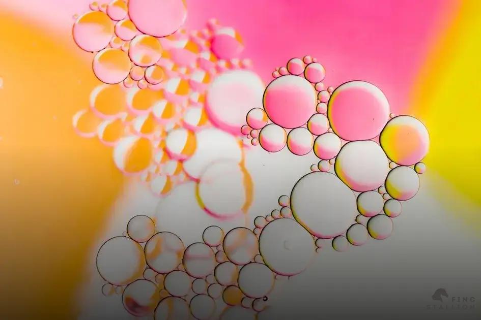 Prioritize Your Financial Objectives