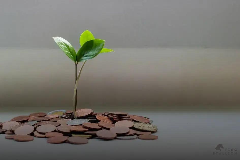 The Rise of Sustainable Investments